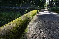 木洩れ日の道