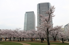 ランドマーク　in 錦糸町
