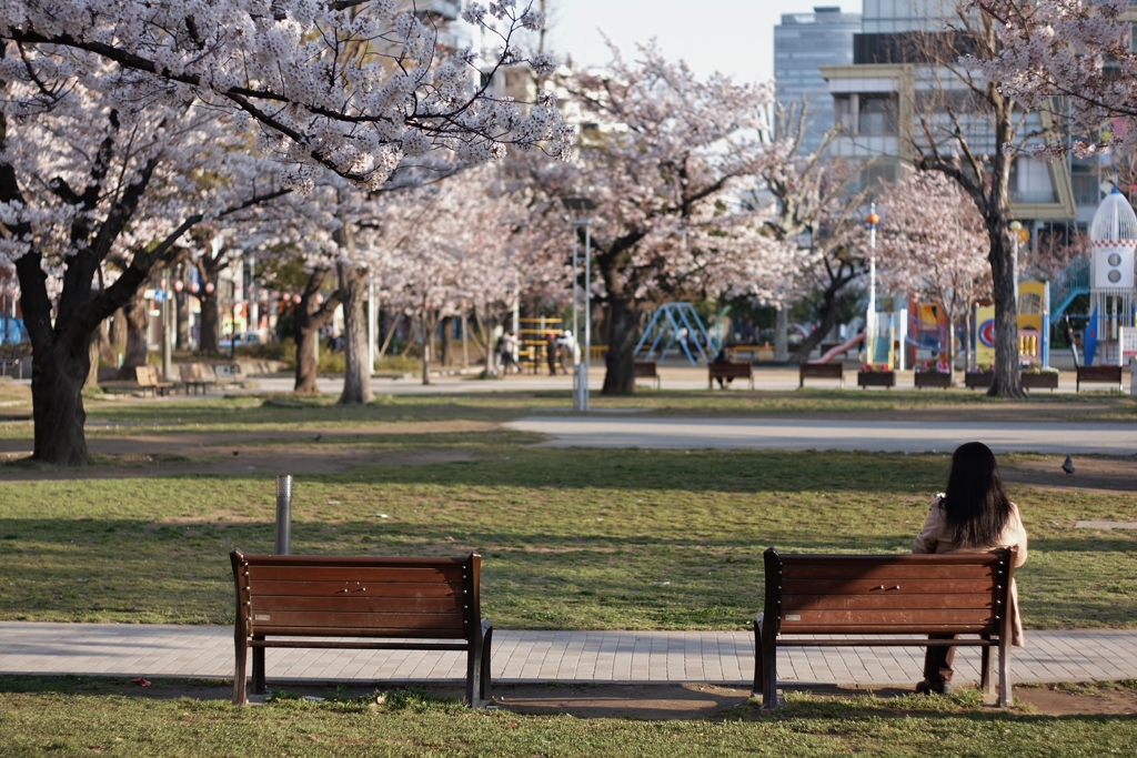 早朝の公園
