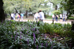 上野公園でのひとコマ