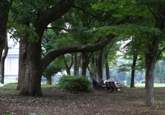 朝の風景