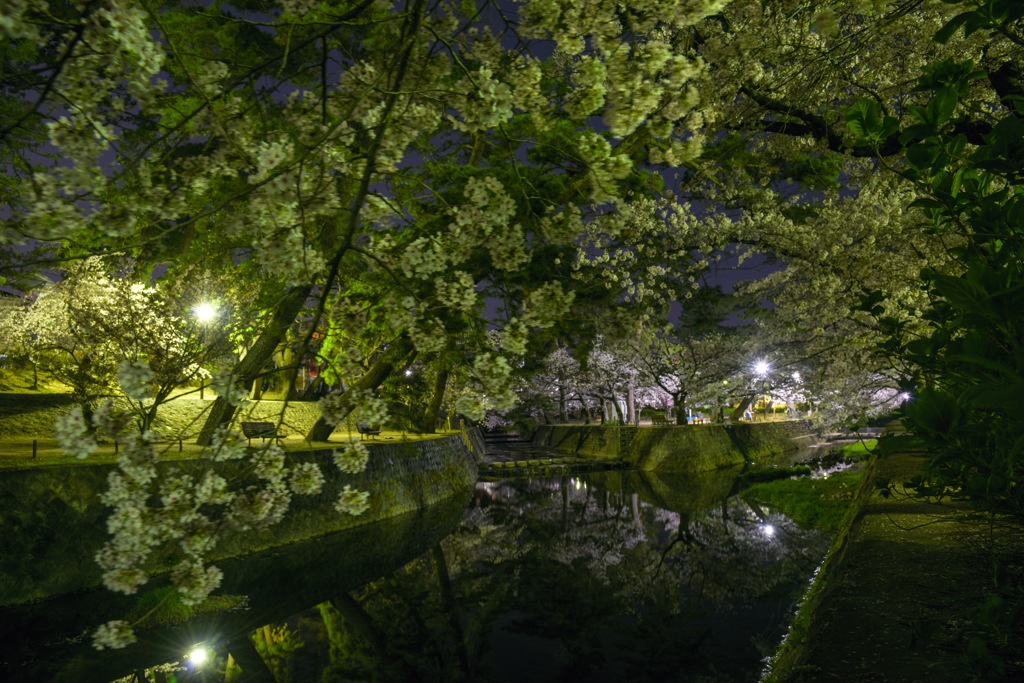 夜明け前