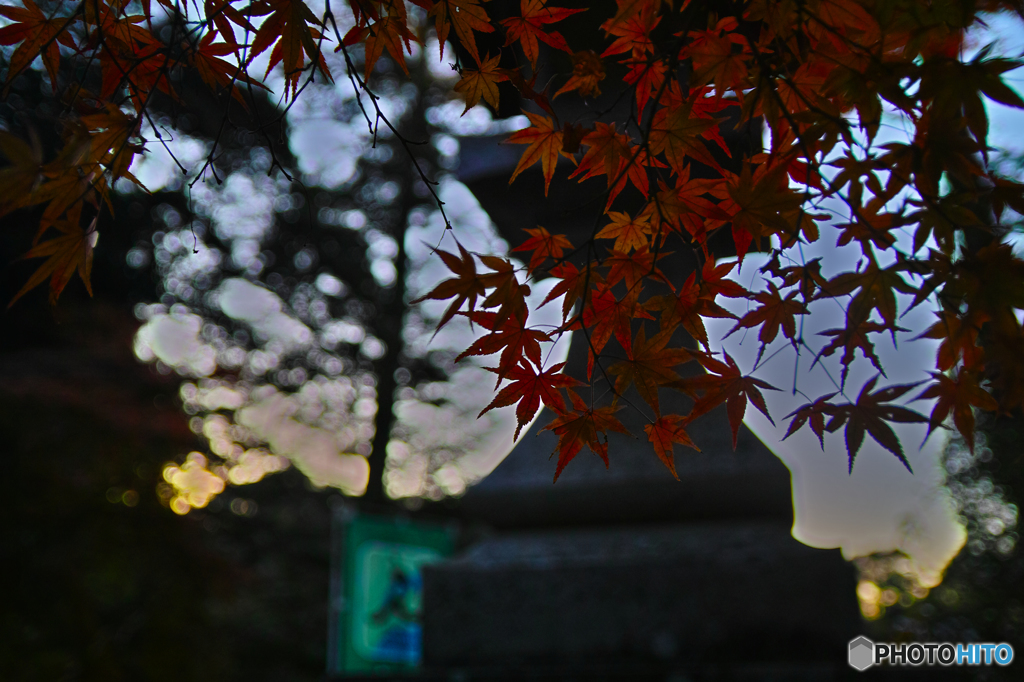 さよならMerrill＠油山寺④