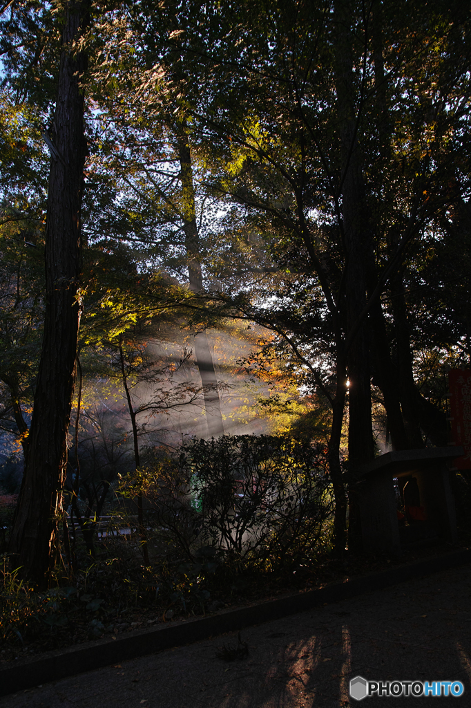 さよならMerrill＠油山寺⑦