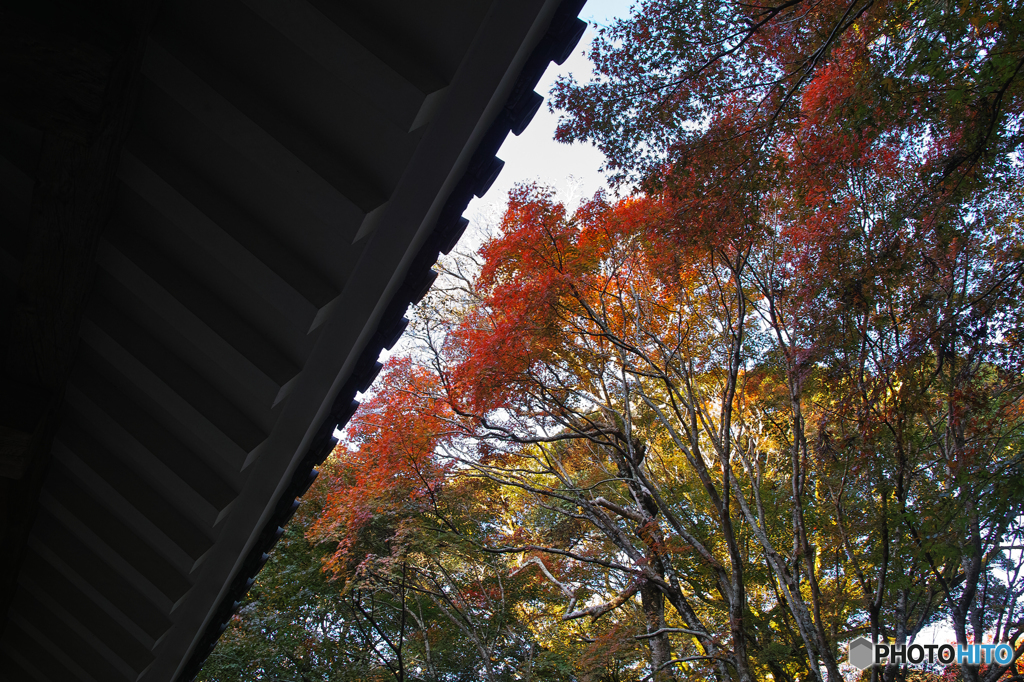 さよならMerrill＠油山寺⑥