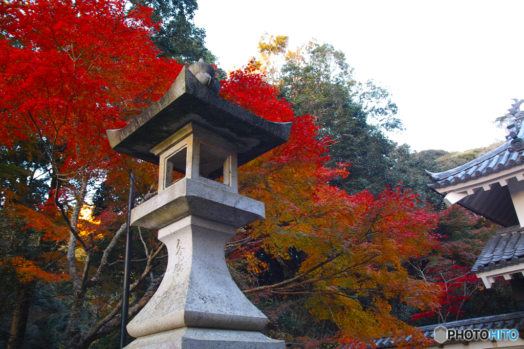 さよならMerrill＠油山寺③