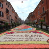 花の絨毯prt.1　Genzno infiorata
