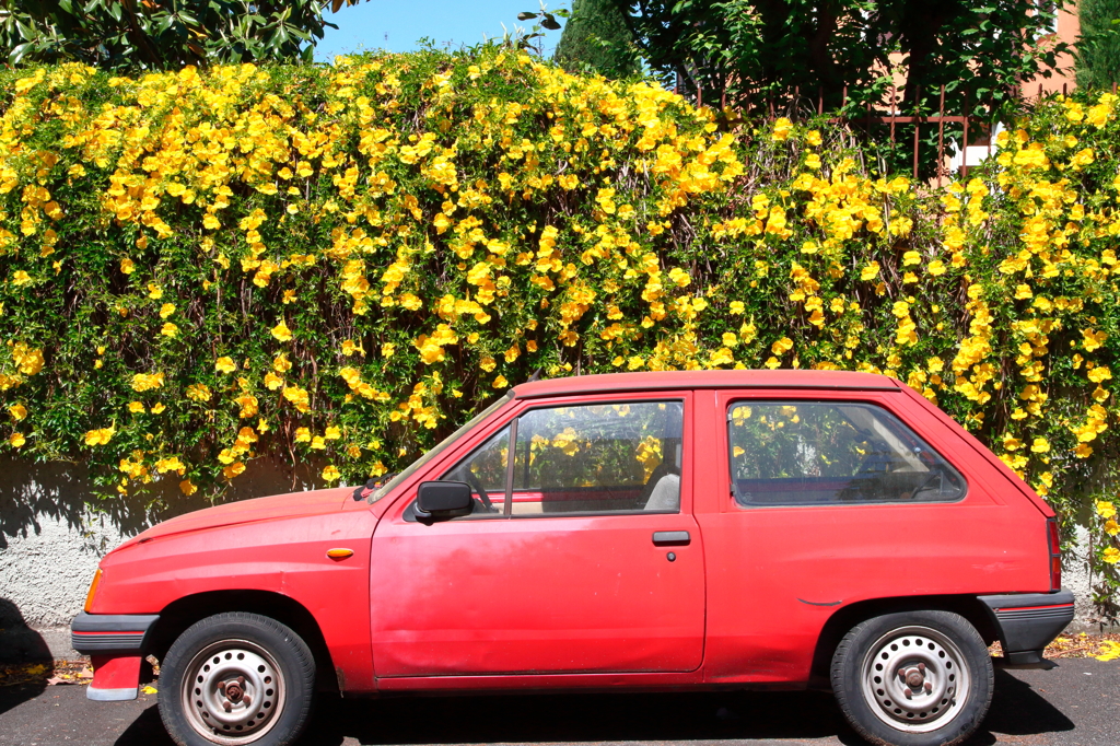 Tri Color SERIESE ROMA