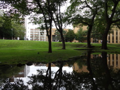 北海道大学キャンパス
