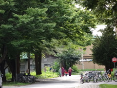 北海道大学キャンパス