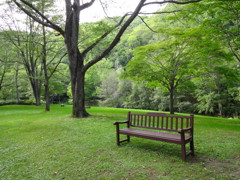 国営滝野すずらん丘陵公園