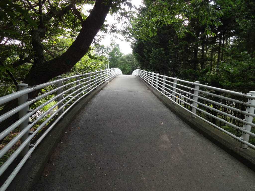 北海道大学キャンパス