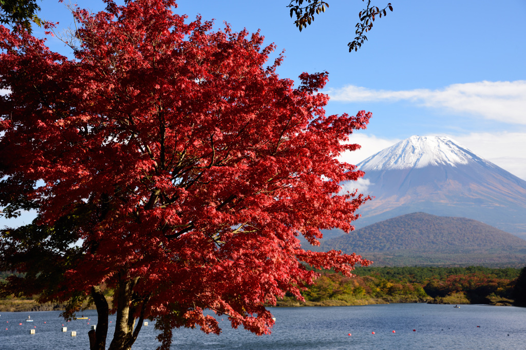 湖畔の紅葉