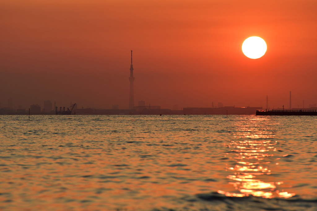 東京湾日没