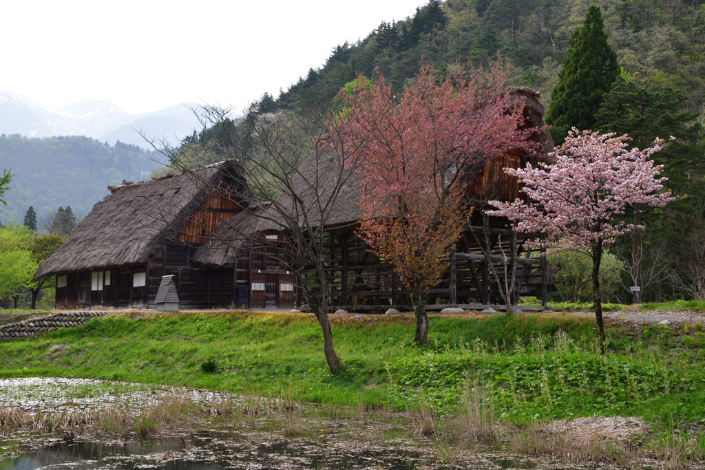 田舎の風景１