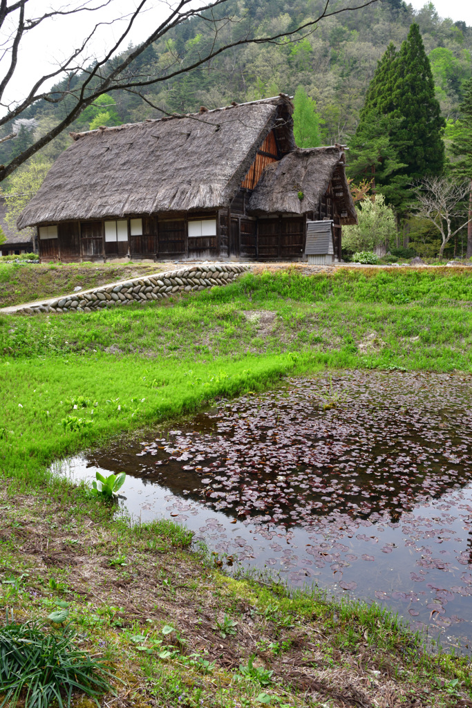 田舎の風景２