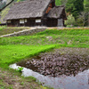 田舎の風景２