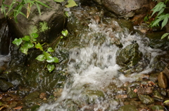皇居東御苑