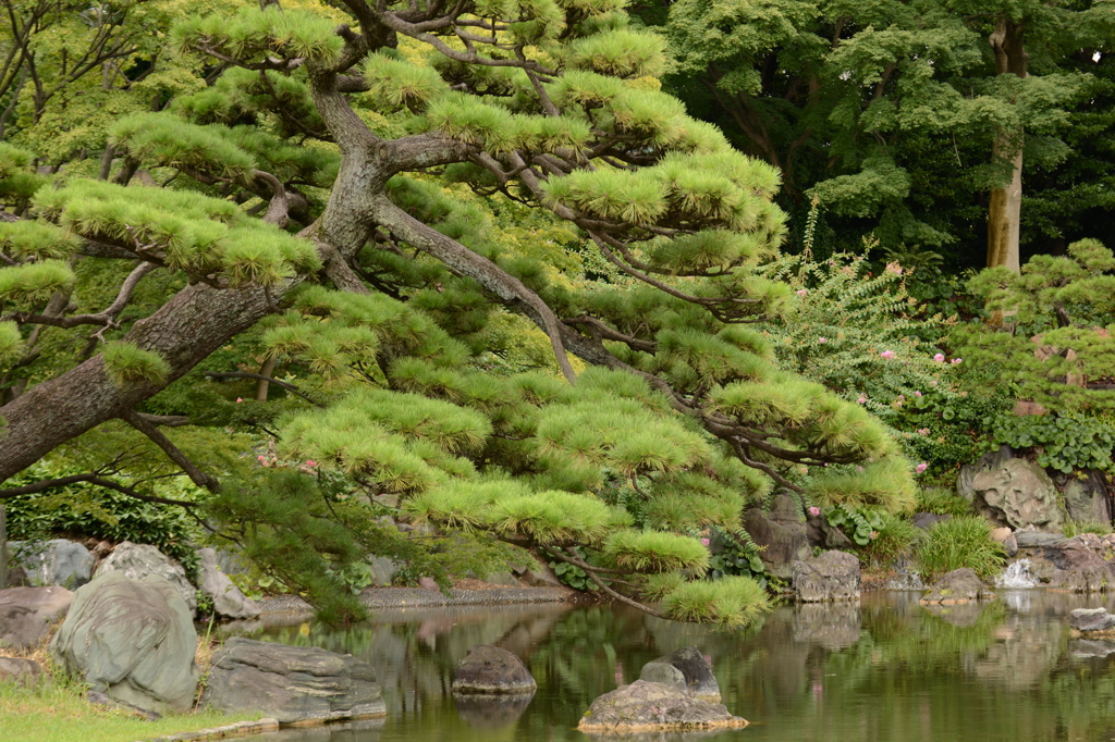 皇居東御苑