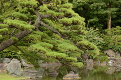 皇居東御苑