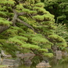 皇居東御苑