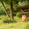 緑