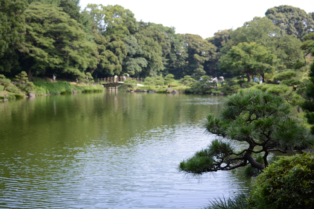 池