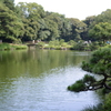 池