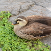 ぽつん