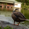 振り返り