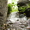 皇居東御苑