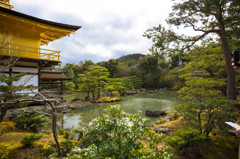 金閣寺