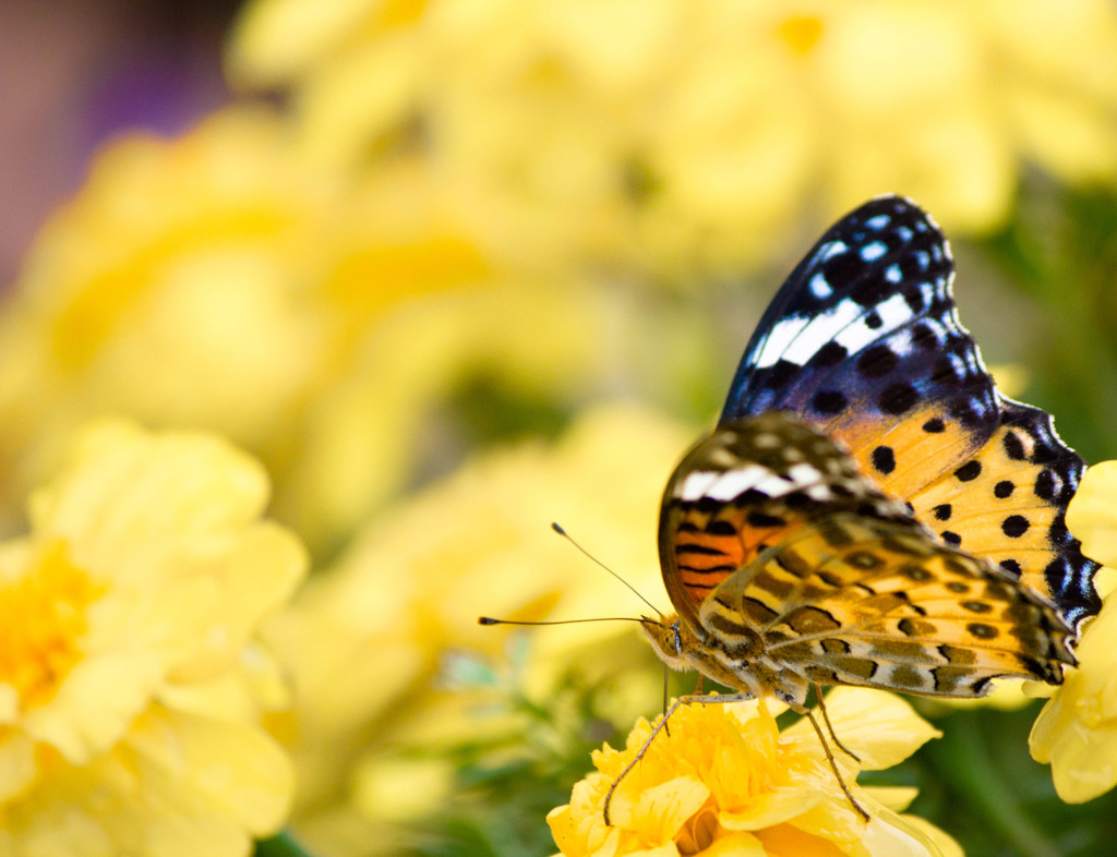 代々木公園にて