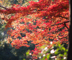水元公園