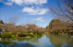 東寺 五重塔側から