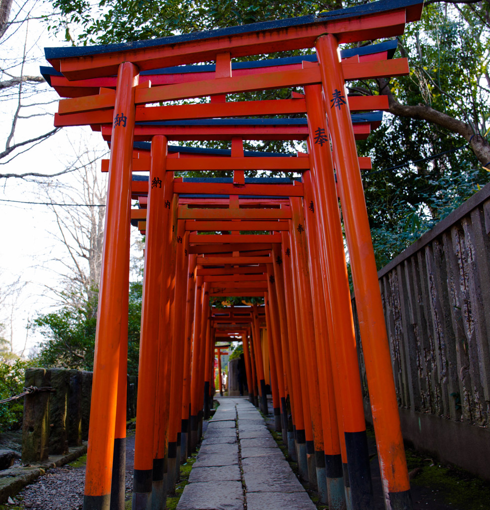 根津神社の千本鳥居