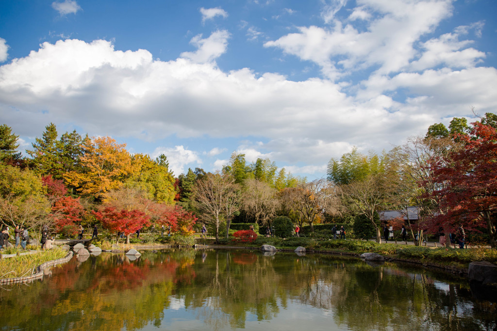 昭和記念公園