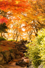 水元公園