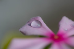 雫