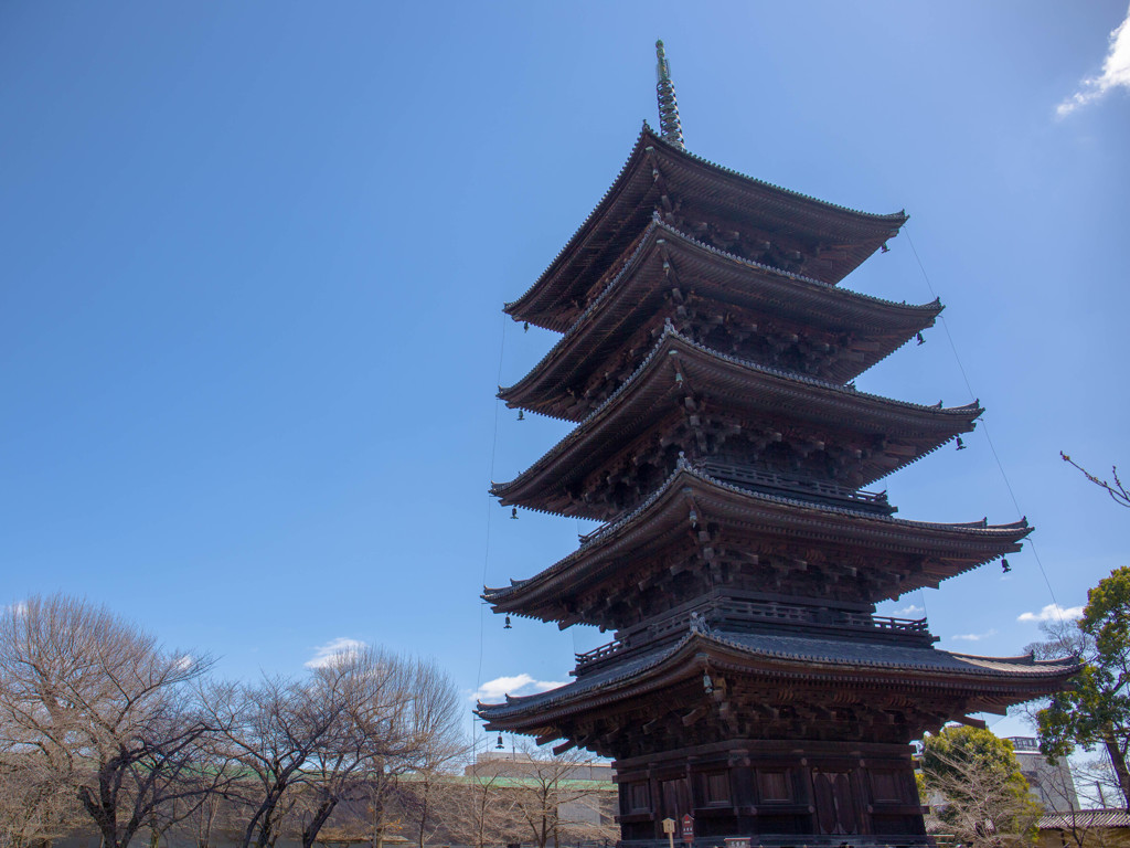 東寺 五重塔