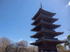 東寺 五重塔