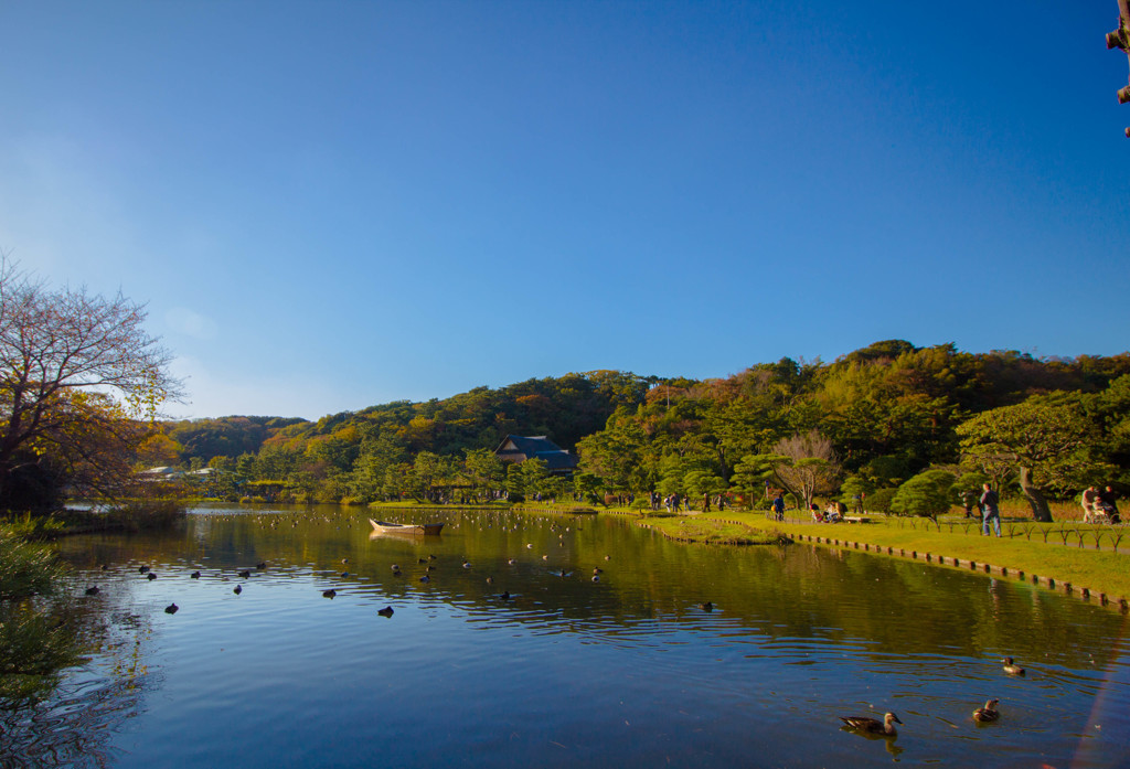 横浜三渓園