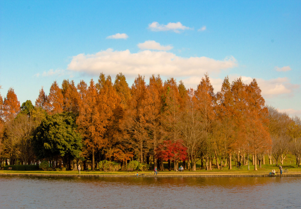 水元公園