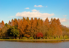 水元公園