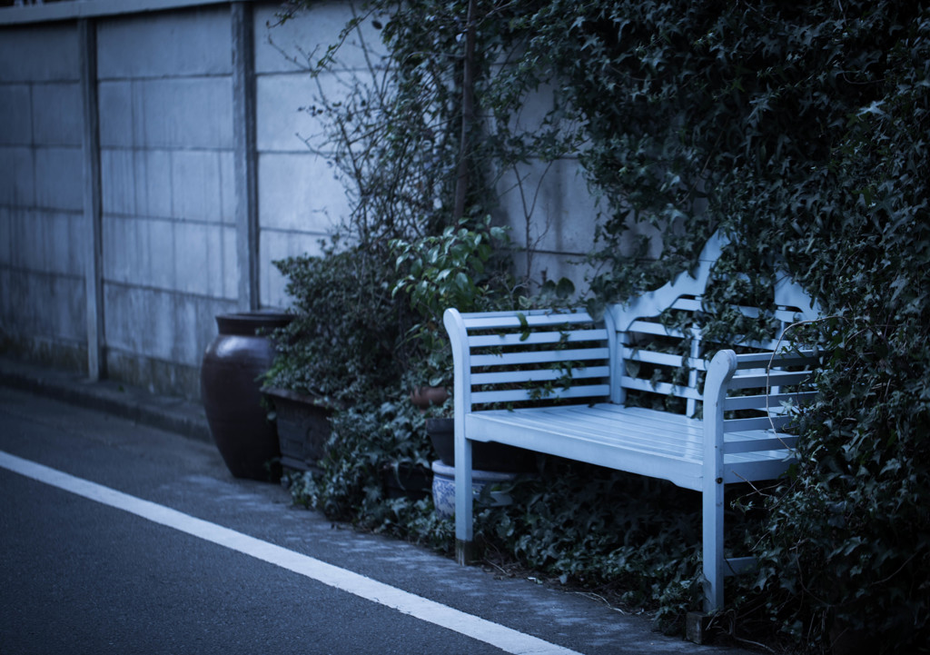 谷根千散歩の風景