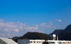 富津