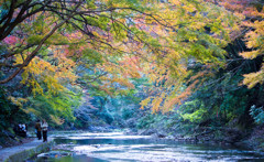 養老渓谷の紅葉♪