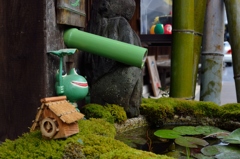 あまやどり