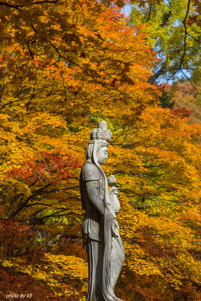 霊松寺の紅葉1