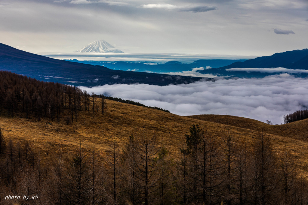 霧ヶ峰の朝景